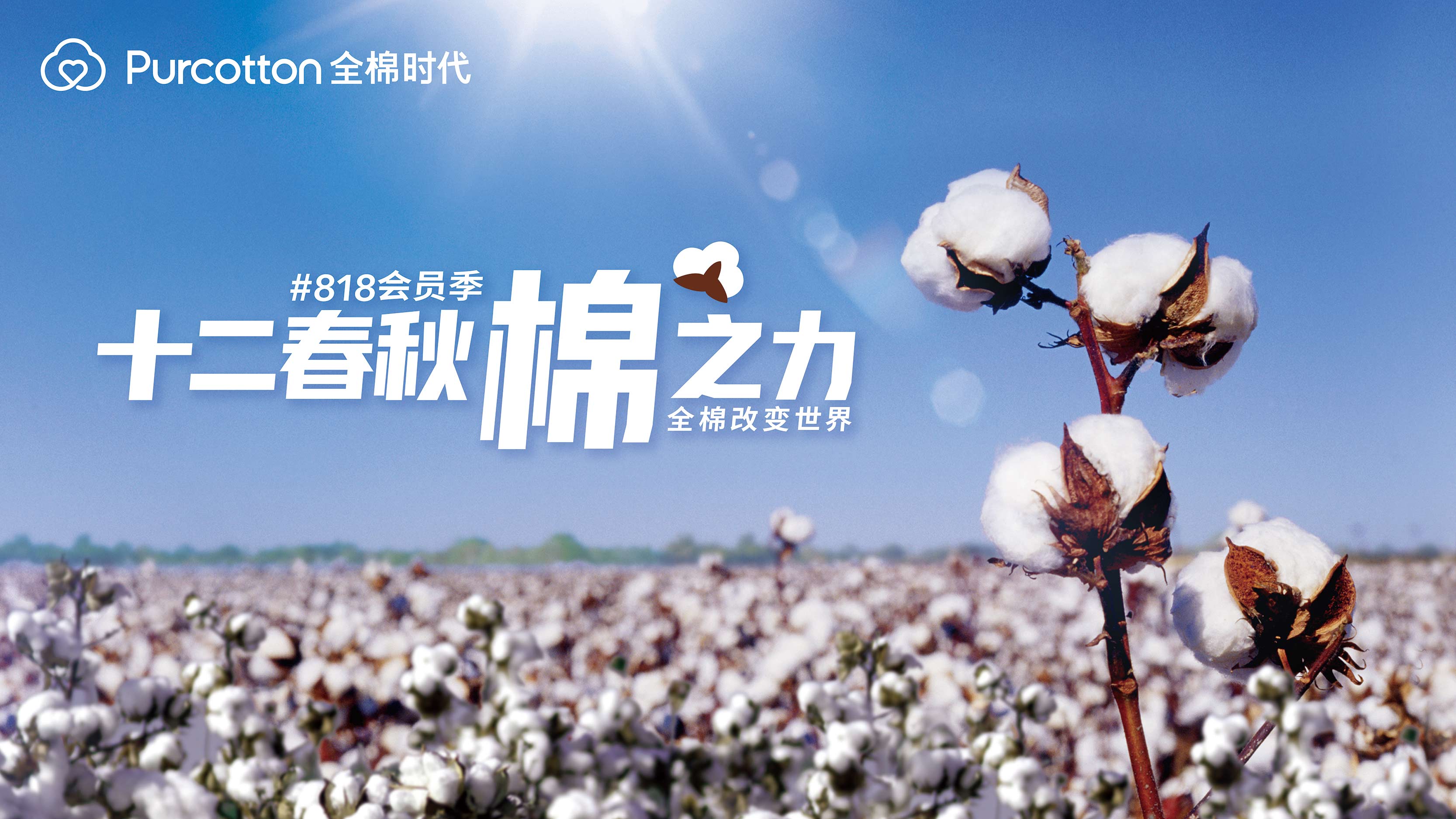 全棉時代818