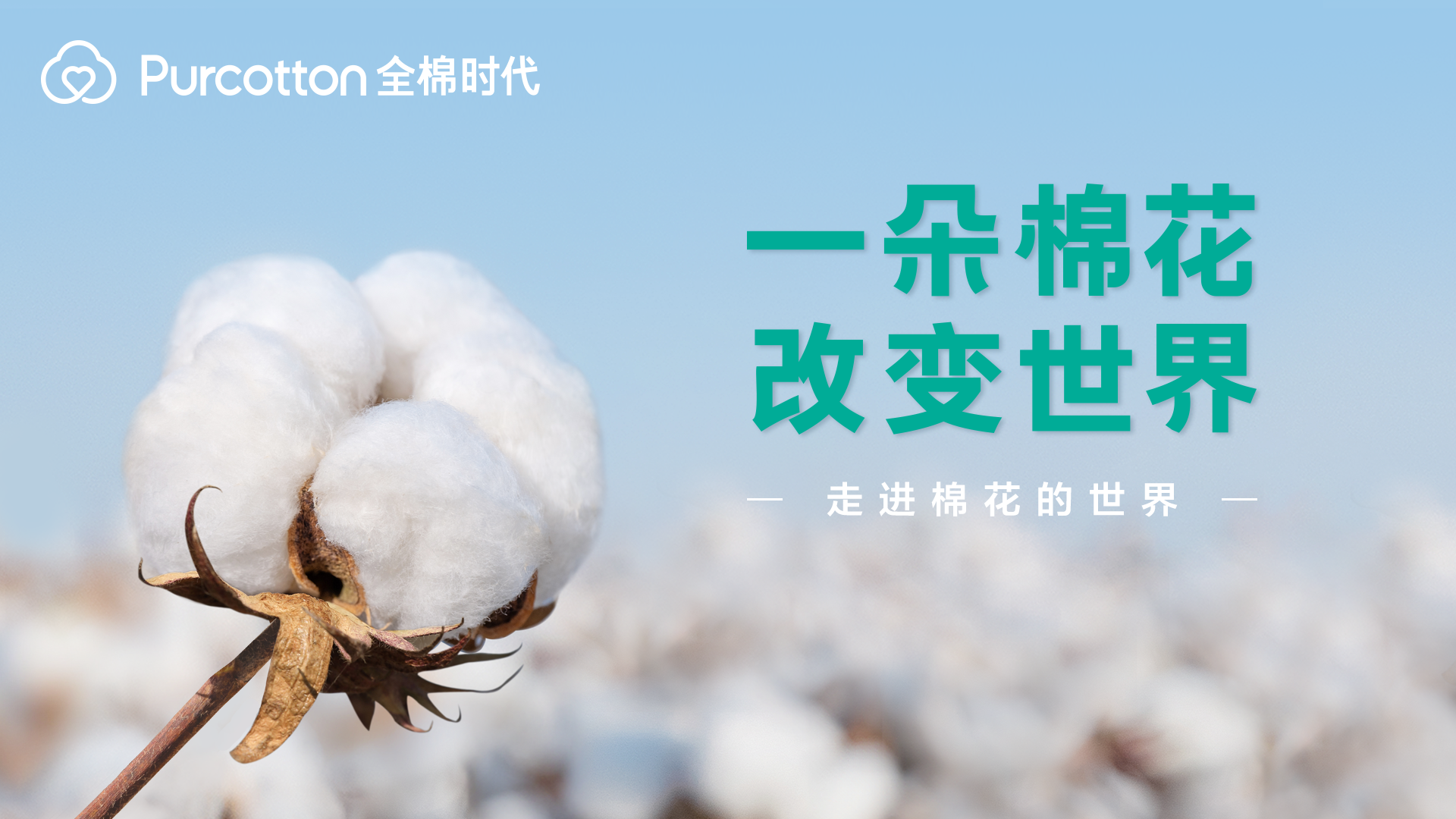 圖1一朵棉花改變世界.jpg