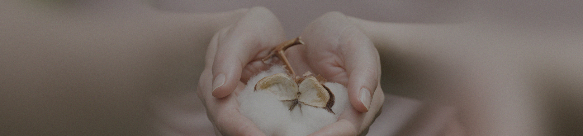 加盟全棉時代